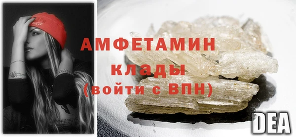 дмт Дмитров