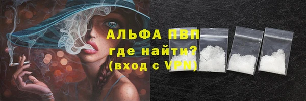 дмт Дмитров