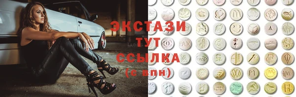 прущий лед Дмитриев