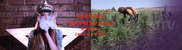 прущий лед Дмитриев