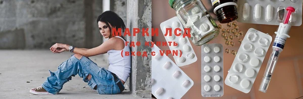 дмт Дмитров