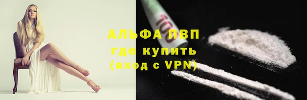 дмт Дмитров