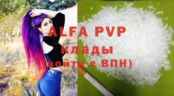 стафф Дмитровск