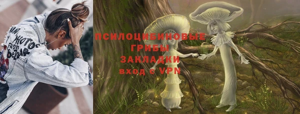 прущий лед Дмитриев