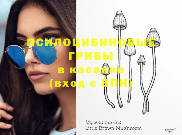 стафф Дмитровск
