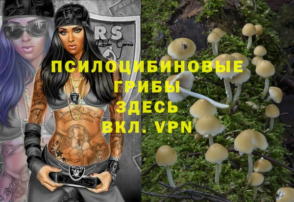 прущий лед Дмитриев