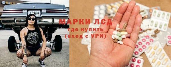 стафф Дмитровск